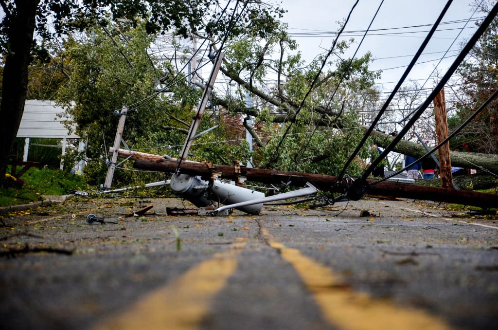 Hurricane Sandy knocked down several trees down across Stony Brook.  DEANNA DEL CIELLO/STATESMAN FILE