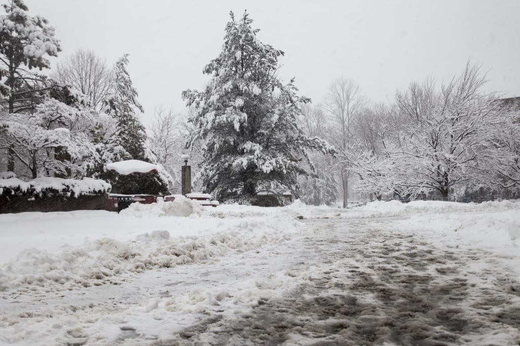This snow season bought more slush and ice to Stony Brook University as the university scrambles to handle slips and accidents. (ANUSHA MOOKHERJEE / THE STATESMAN)