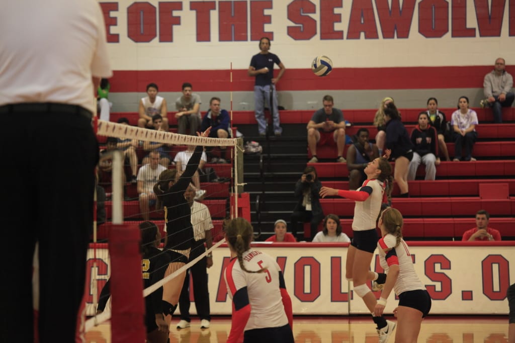 Seawolves volleyball completes successful season