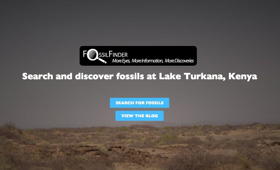 Digging deep: Discovering fossils at Lake Turkana with FossilFinder.org