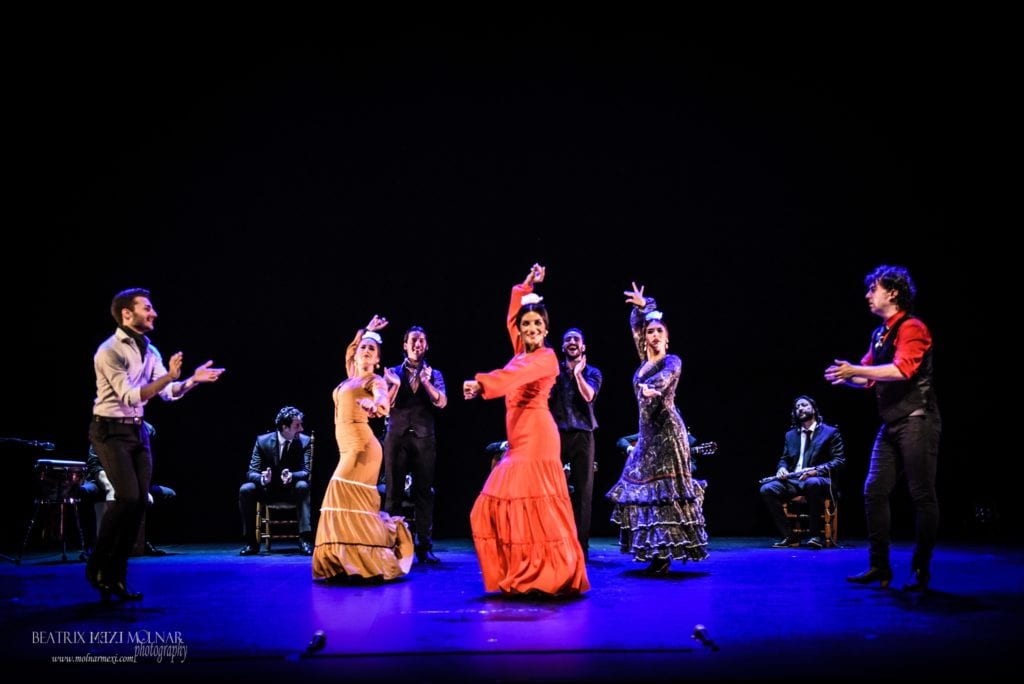 Spanish flamenco troupe leaves audience in awe
