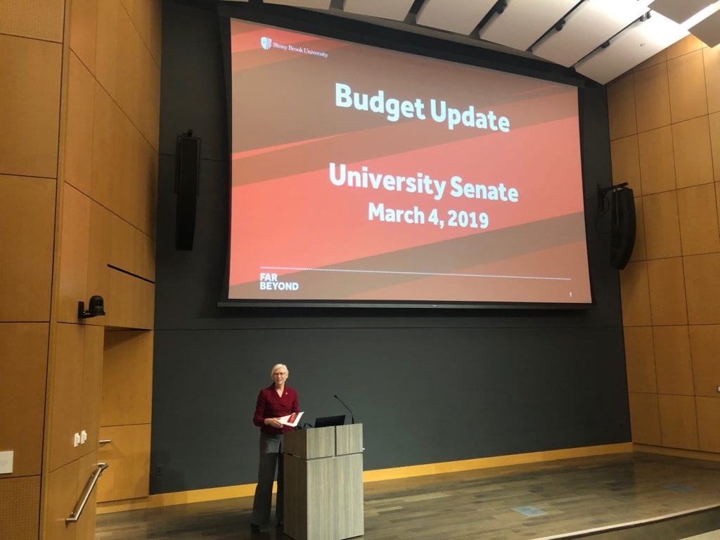 University Senate reviews independent budget report