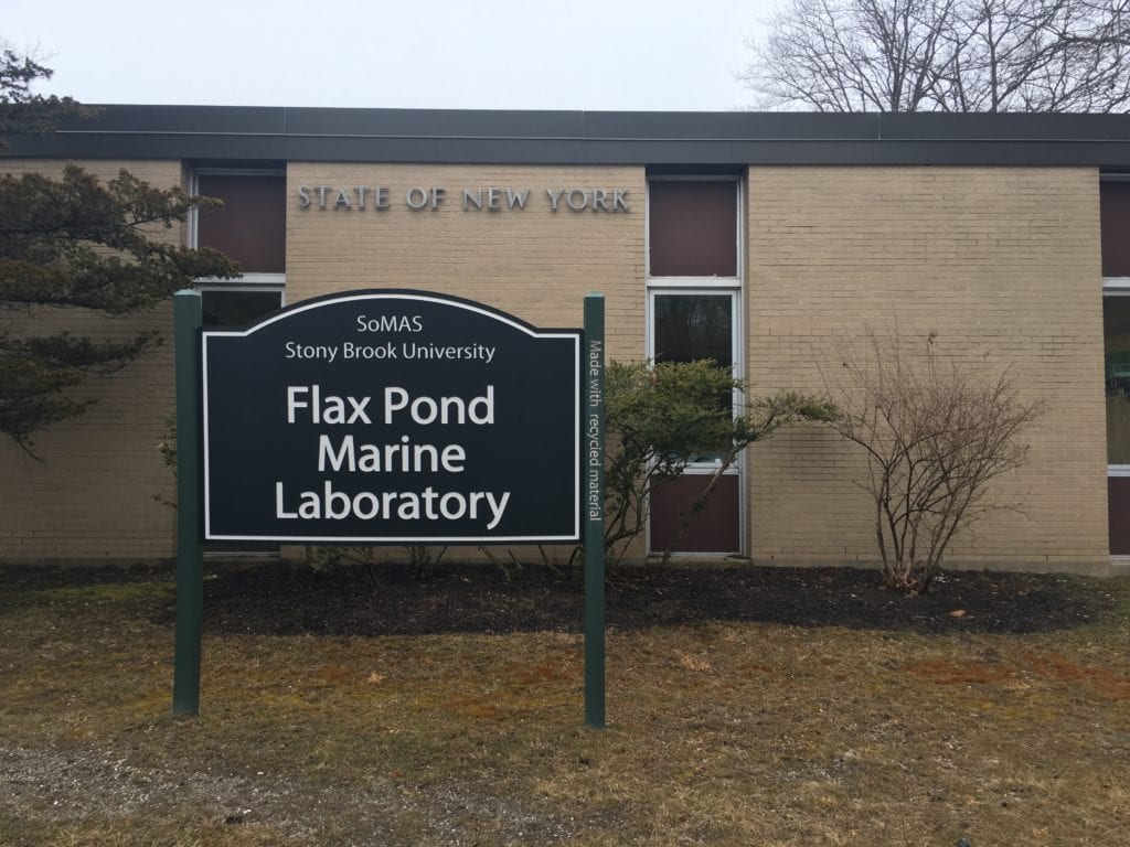 The building for Stony Brook Universitys Flax Pond Marine Laboratory. New York State has given the university $4 million to build a new hatchery there. BRIANNE LEDDA/THE STATESMAN