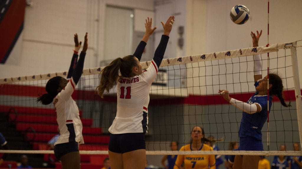 Stony Brook womens volleyball hopes to return to championship form