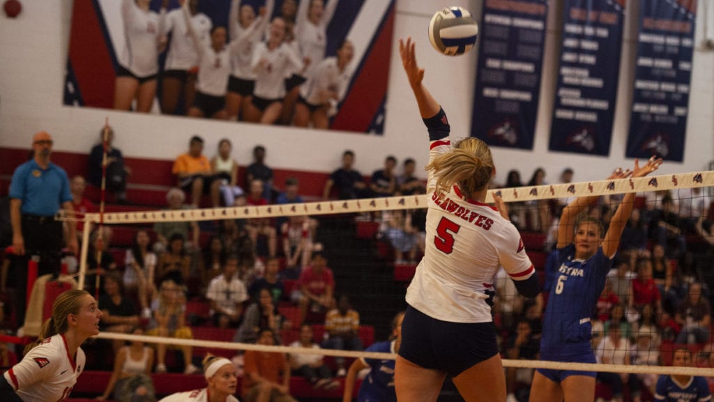 Stony Brook womens volleyball stumbles in opening invitational