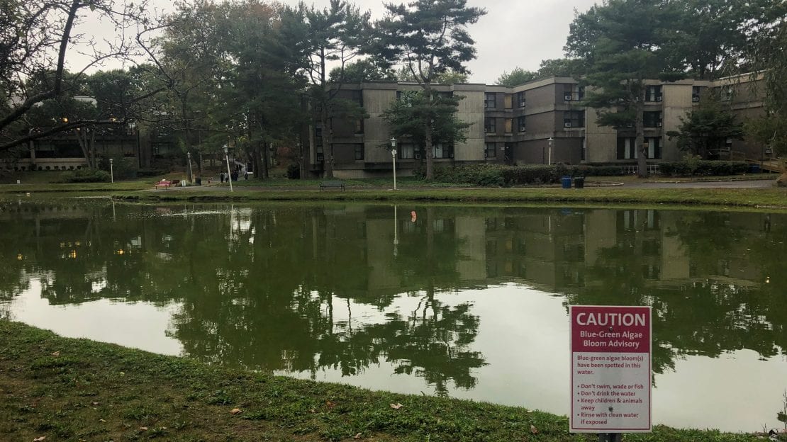 Stony Brook University scientists work on clean water initiative