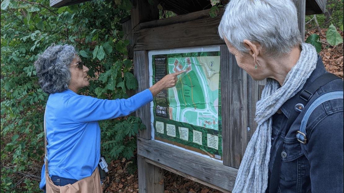 50 years forever wild: Looking back on the Ashley Schiff Preserve