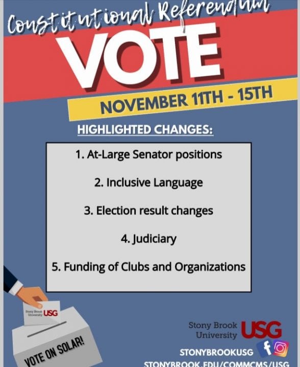 A screenshot of the constitutional referendum emailed to students on Nov. 9. COURTESY OF USG
