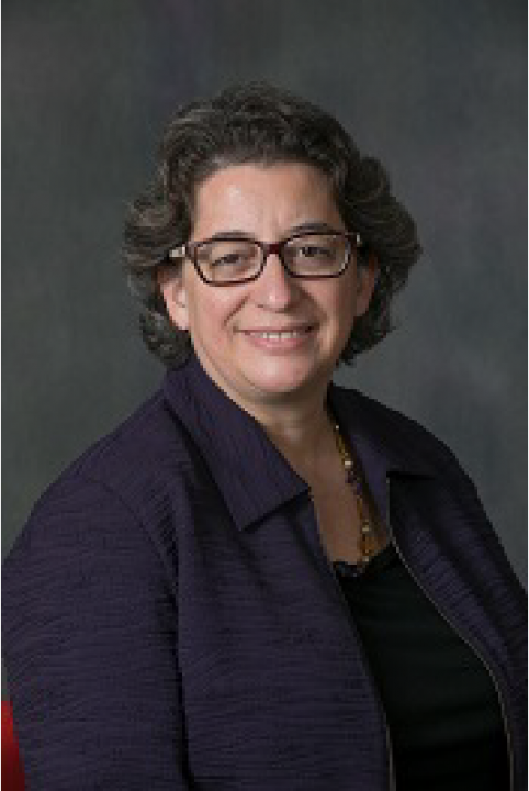 Nancy Goroffs headshot from the Stony Brook University website. Goroff, a former Stony Brook chemistry professor, will be running against PHOTO CREDIT STONY BROOK UNIVERSITY