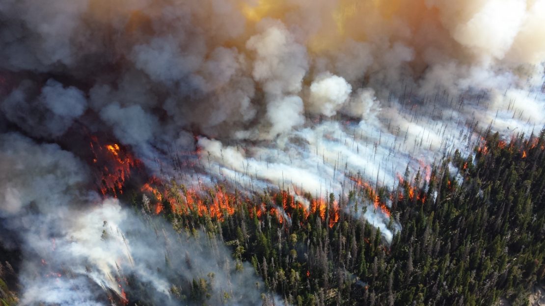 A wildfire in 2013 at Yellowstone National Park. PUBLIC DOMAIN