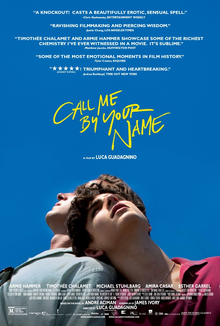 The official poster for Call Me By Your Name. PUBLIC DOMAIN