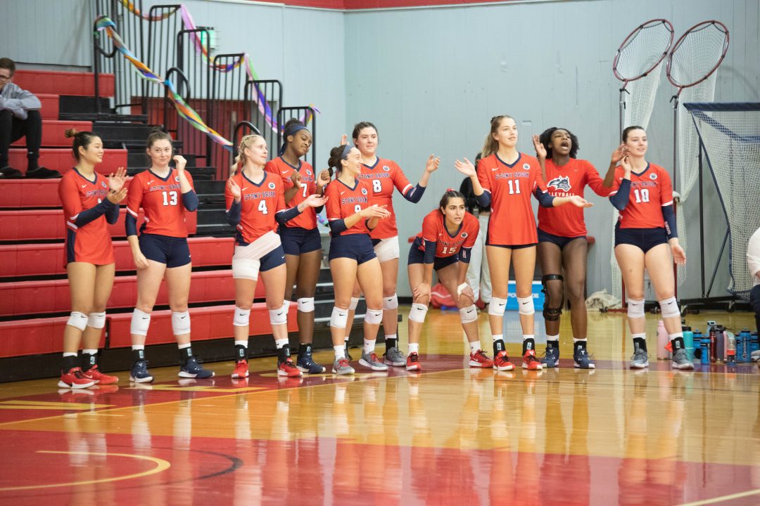 The Stony Brook volleyball team cheer for their teammates from the sidelines in the game against Albany on Nov. 5. KAT PROCACCI/THE STATESMAN
