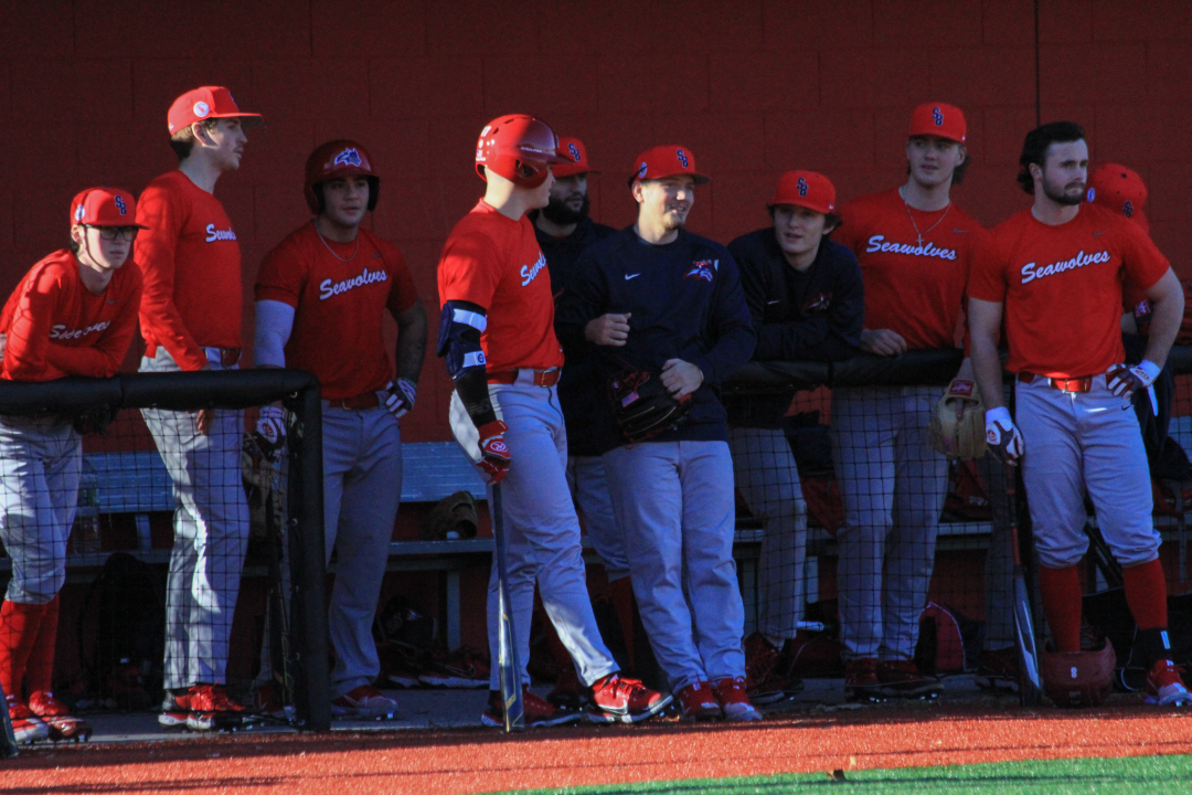 The Stony Brook baseball  team waiting in the dugout to practice batting during a practice on Feb. 11. KAT PROCACCI/THE STATESMAN