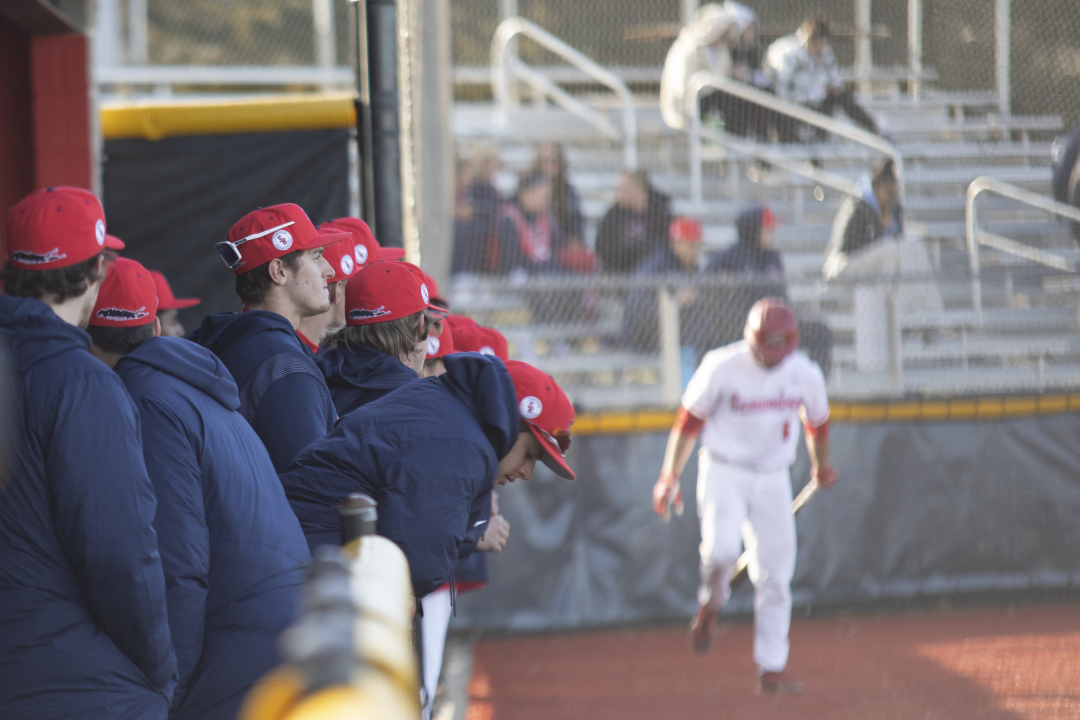 Some of the Stony Brook baseball team in the dugout during the LIU game on March 8. ETHAN TAM/THE STATESMAN