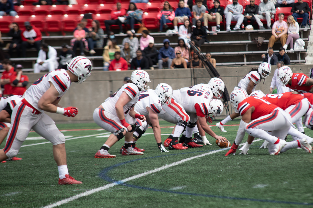 The Seawolves during the Spring Game on April 23. KAT PROCACCI/THE STATESMAN