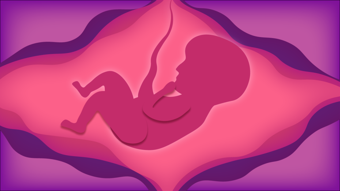 Illustration of a fetus in an abstract background.TIM GIORLANDO/ THE STATESMAN