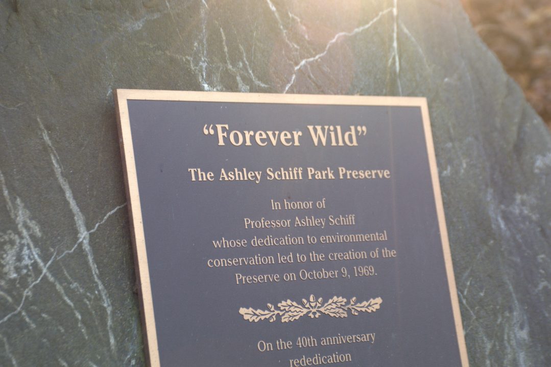 A plaque that reads Forever Wild commemorates Professor Ashley Schiff in The Ashley Schiff Park Preserve. The preserve was established in 20.. by President John Toll, but lacks any legal protection. BRITTNEY DIETZ/THE STATESMAN