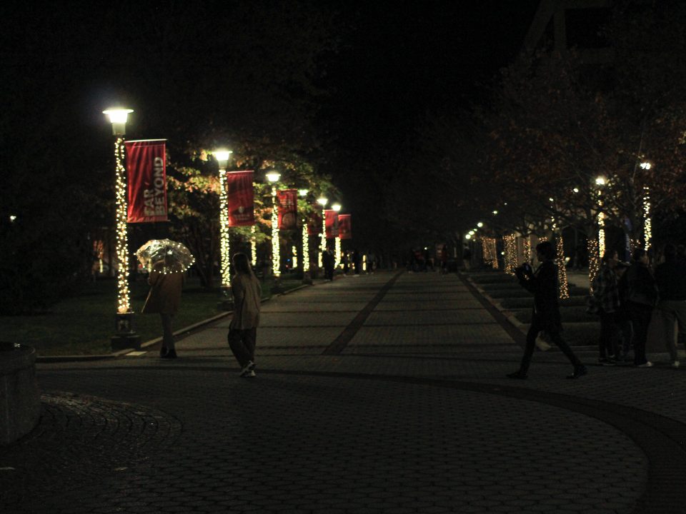 The Academic Mall during USGs Light the Brook on Nov 9th.DEVIN KENNEDY/THE STATESMAN