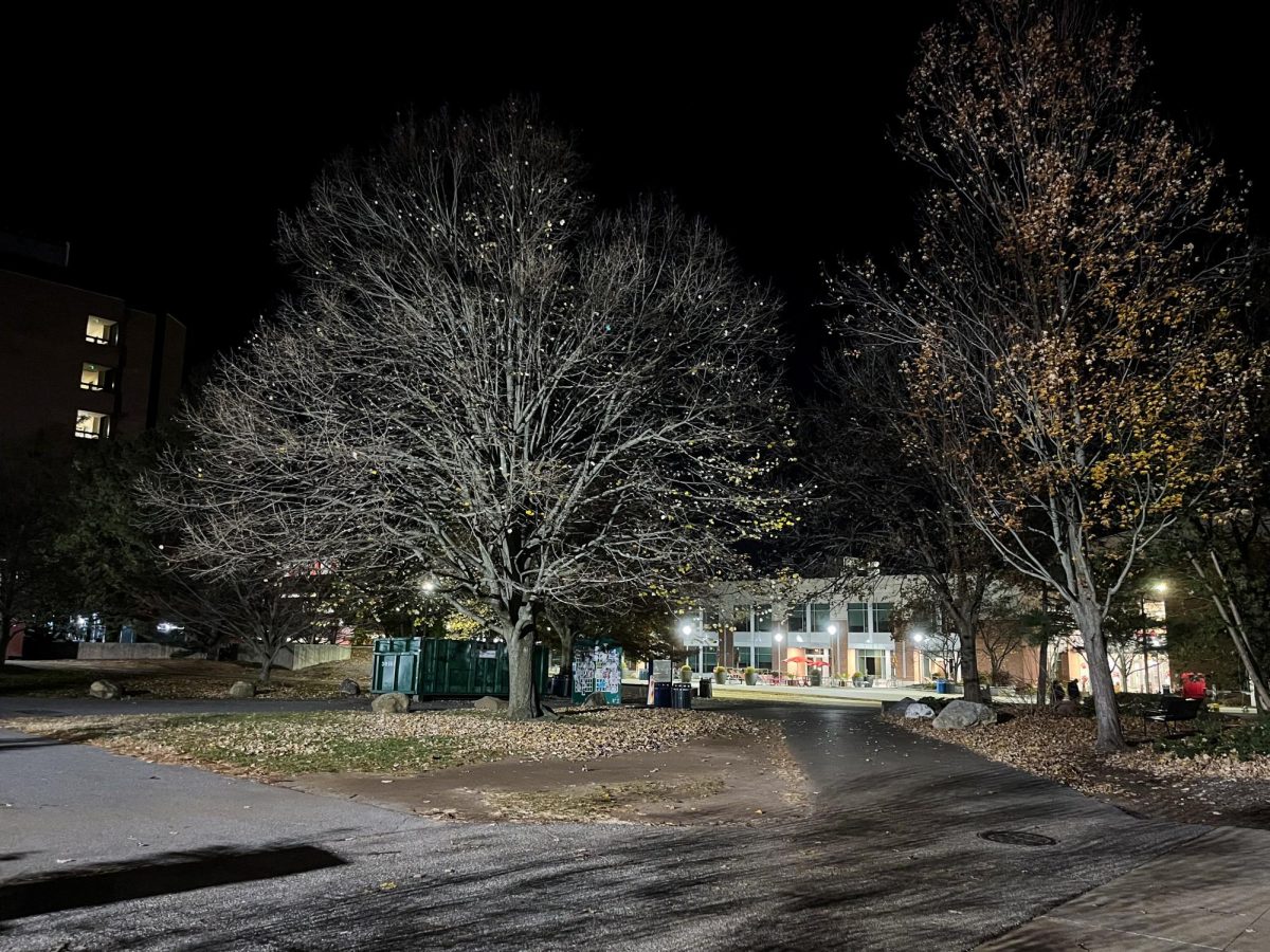 Stony Brook University campus at night right next to Melville library. ANGELINA LIVIGNI