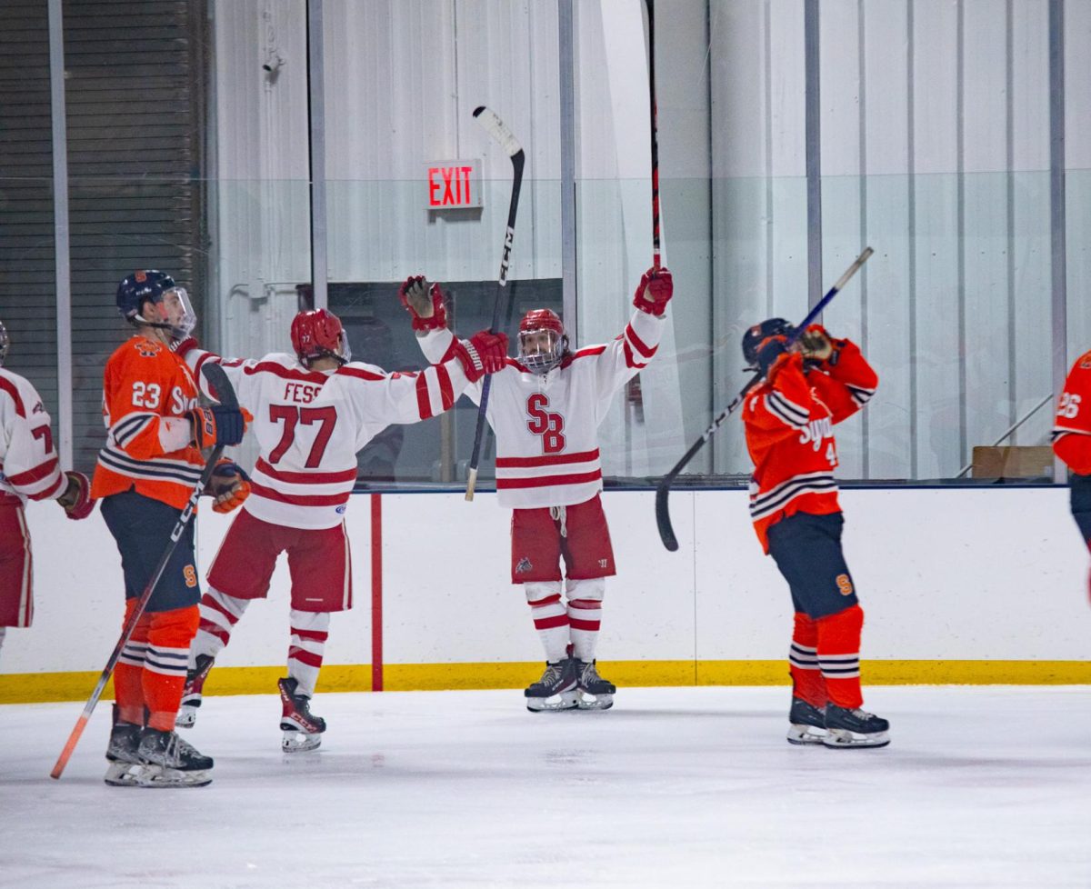 Right defenseman Brendan Fess (left) and right winger Kyle DePalma (right) celebrate a goal against Syracuse on Saturday, Nov. 11. On a team riddled with injury, DePalma and Fess will need to play well for Stony Brook moving forward. ANGELINA LIVIGNI/THE STATESMAN