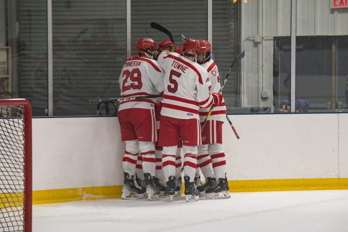 Five Stony Brook hockey team skaters huddle to celebrate a goal against Drexel on Thursday, Feb. 16. The Seawolves will end their 2023-24 regular season with a two-game set against New York University. ANGELINA LIVIGNI/THE STATESMAN
