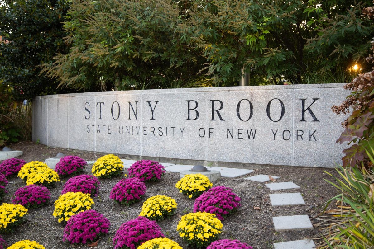 Stony Brook now and then: demographics over a decade